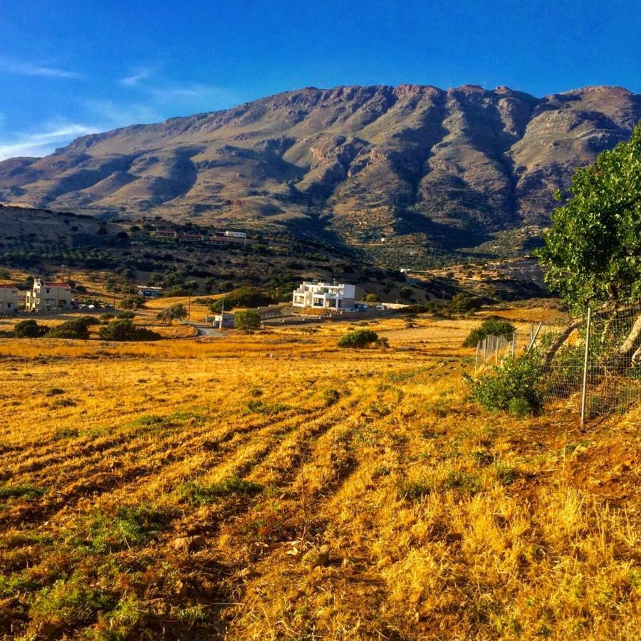 Villa Thalassa Triopetra Zewnętrze zdjęcie